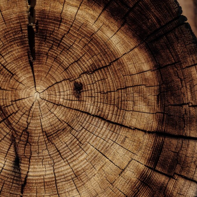 Comment reconnaître le bois d&rsquo;un meuble